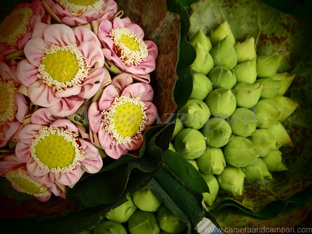 Delicate arrangements adorne the flower market