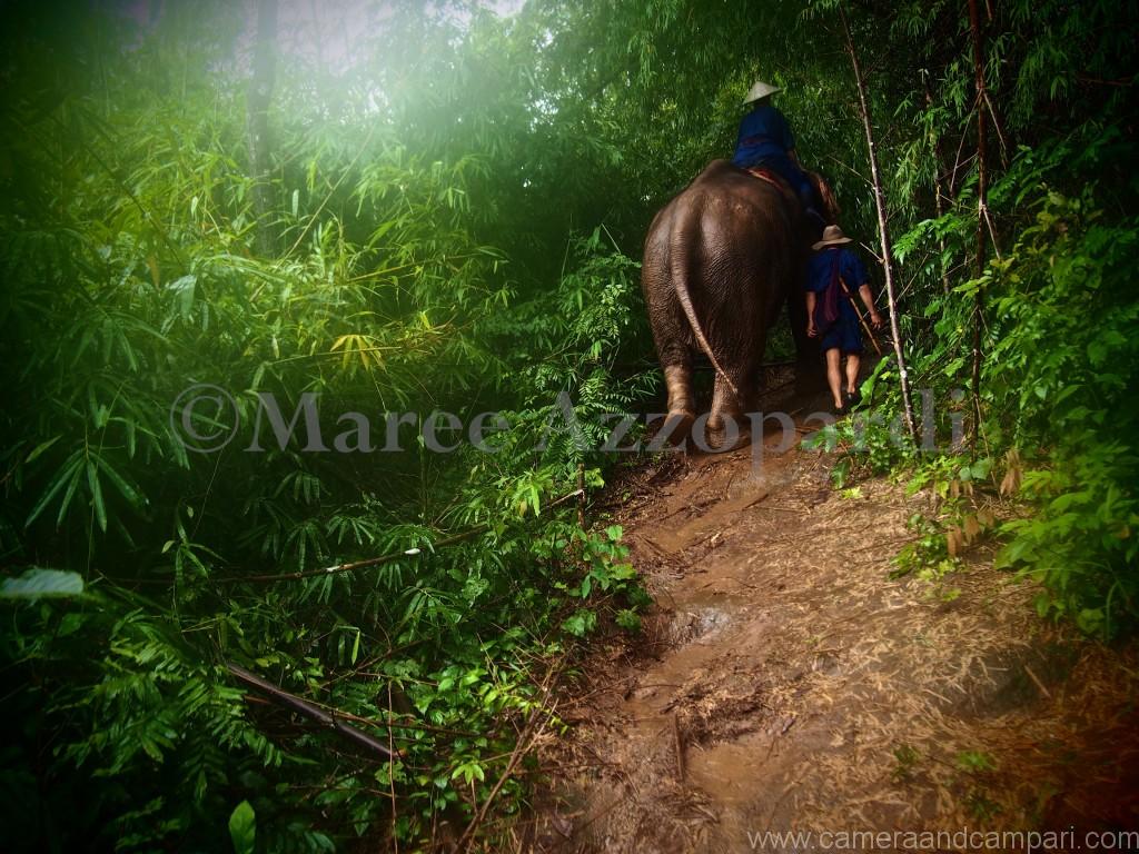 Four Seasons Tented Camp-  elephant jungle trek